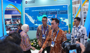 PLN Energi Primer Indonesia PLN Energi Primer Indonesia