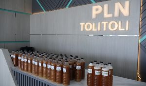PLN UP3 Tolitoli PT PLN (Persero) Unit Pelaksana Pelayanan Pelanggan (UP3) Tolitoli melalui Persatuan Istri Karyawan dan Karyawati (PIKK) menggelar kegiatan berskala sosial-lingkungan.
